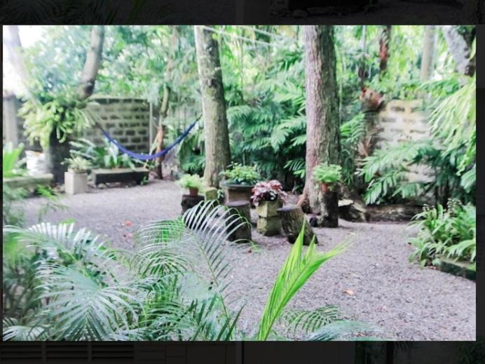 Balay 8 Suites Silay Bagian luar foto